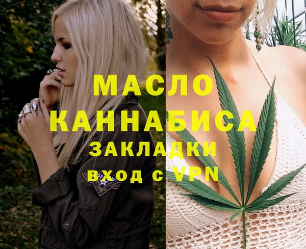 дживик Верхний Тагил