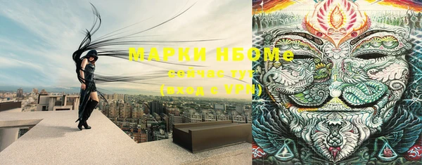 mdpv Бородино
