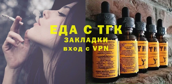 дживик Верхний Тагил