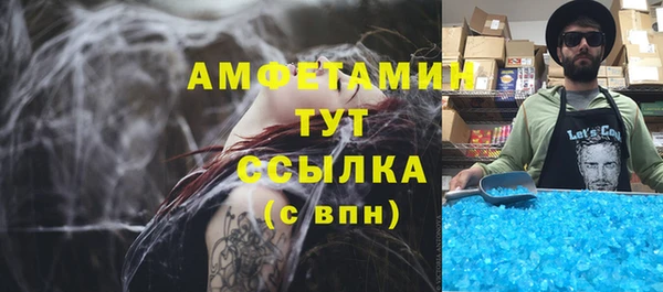 mdpv Бородино