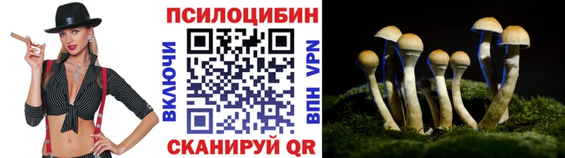 купить   Иноземцево  Псилоцибиновые грибы прущие грибы 